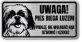 Tabliczka ostrzegawcza - Uwaga pies Shih Tzu