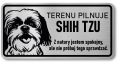 Tabliczka ostrzegawcza - Uwaga pies Shih Tzu