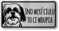 Tabliczka ostrzegawcza - Uwaga pies Shih Tzu po śląsku