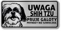 Tabliczka ostrzegawcza - Uwaga pies Shih Tzu po śląsku