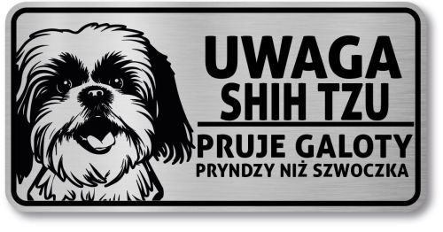 Tabliczka ostrzegawcza - Uwaga pies Shih Tzu po śląsku