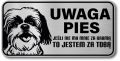 Tabliczka ostrzegawcza - Uwaga pies Shih Tzu