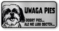 Tabliczka ostrzegawcza - Uwaga pies Shih Tzu