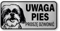 Tabliczka ostrzegawcza - Uwaga pies Shih Tzu