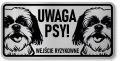Tabliczka ostrzegawcza - Uwaga pies Shih Tzu 2 psy