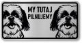 Tabliczka ostrzegawcza - Uwaga pies Shih Tzu 2 psy
