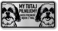 Tabliczka ostrzegawcza - Uwaga pies Shih Tzu 2 psy