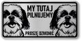 Tabliczka ostrzegawcza - Uwaga pies Shih Tzu 2 psy