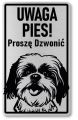 Tabliczka ostrzegawcza - Uwaga pies Shih Tzu