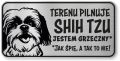 Tabliczka ostrzegawcza - Uwaga pies SHIH TZU śmieszna