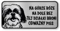 Tabliczka ostrzegawcza - Uwaga pies SHIH TZU śmieszna