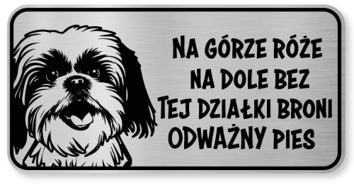 Tabliczka ostrzegawcza - Uwaga pies SHIH TZU śmieszna