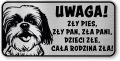 Tabliczka ostrzegawcza - Uwaga pies SHIH TZU śmieszna