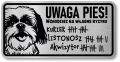 Tabliczka ostrzegawcza - Uwaga pies SHIH TZU śmieszna