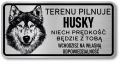 Tabliczka ostrzegawcza - Uwaga pies Husky