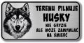 Tabliczka ostrzegawcza - Uwaga pies Husky
