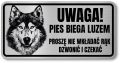 Tabliczka ostrzegawcza - Uwaga pies Husky