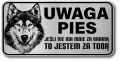Tabliczka ostrzegawcza - Uwaga pies Husky