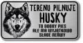 Tabliczka ostrzegawcza - Uwaga pies Husky