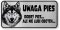Tabliczka ostrzegawcza - Uwaga pies Husky