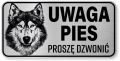Tabliczka ostrzegawcza - Uwaga pies Husky