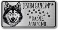 Tabliczka ostrzegawcza - Uwaga pies HUSKY śmieszna