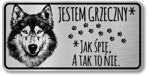 Tabliczka ostrzegawcza - Uwaga pies HUSKY śmieszna