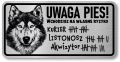 Tabliczka ostrzegawcza - Uwaga pies HUSKY śmieszna