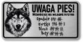 Tabliczka ostrzegawcza - Uwaga pies HUSKY śmieszna