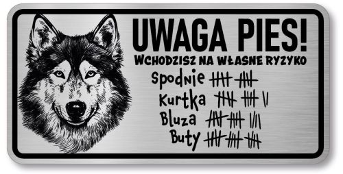 Tabliczka ostrzegawcza - Uwaga pies HUSKY śmieszna