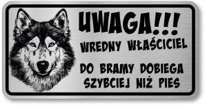 Tabliczka ostrzegawcza - Uwaga pies HUSKY śmieszna
