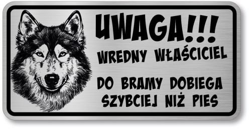 Tabliczka ostrzegawcza - Uwaga pies HUSKY śmieszna