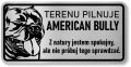 Tabliczka ostrzegawcza - Uwaga pies AMERICAN BULLY