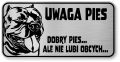 Tabliczka ostrzegawcza - Uwaga pies AMERICAN BULLY
