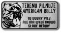 Tabliczka ostrzegawcza - Uwaga pies AMERICAN BULLY