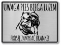 Tabliczka ostrzegawcza - Uwaga pies AMERICAN BULLY
