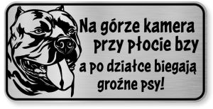 Tabliczka ostrzegawcza - Uwaga pies American Bully  śmieszna