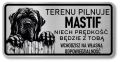 Tabliczka uwaga pies Mastif