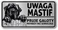 Uwaga pies Tabliczka Mastif po Śląsku