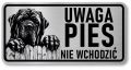 Uwaga pies Tabliczka Mastif śmieszna