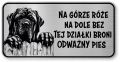 Uwaga pies Tabliczka Mastif śmieszna