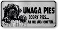 Uwaga pies Tabliczka Mastif śmieszna