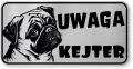 Tabliczka ostrzegawcza - Uwaga pies MOPS kejter