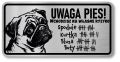 Tabliczka ostrzegawcza - Uwaga pies MOPS śmieszna