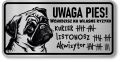 Tabliczka ostrzegawcza - Uwaga pies MOPS śmieszna