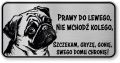 Tabliczka ostrzegawcza - Uwaga pies MOPS śmieszna
