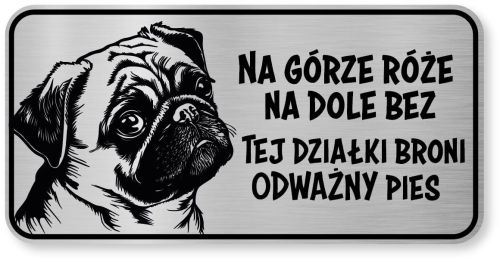 Tabliczka ostrzegawcza - Uwaga pies MOPS śmieszna
