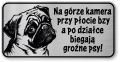 Tabliczka ostrzegawcza - Uwaga pies MOPS śmieszna