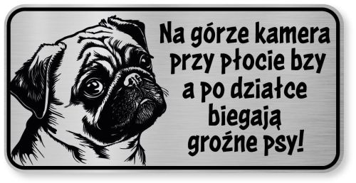 Tabliczka ostrzegawcza - Uwaga pies MOPS śmieszna