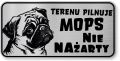 Tabliczka ostrzegawcza - Uwaga pies MOPS śmieszna